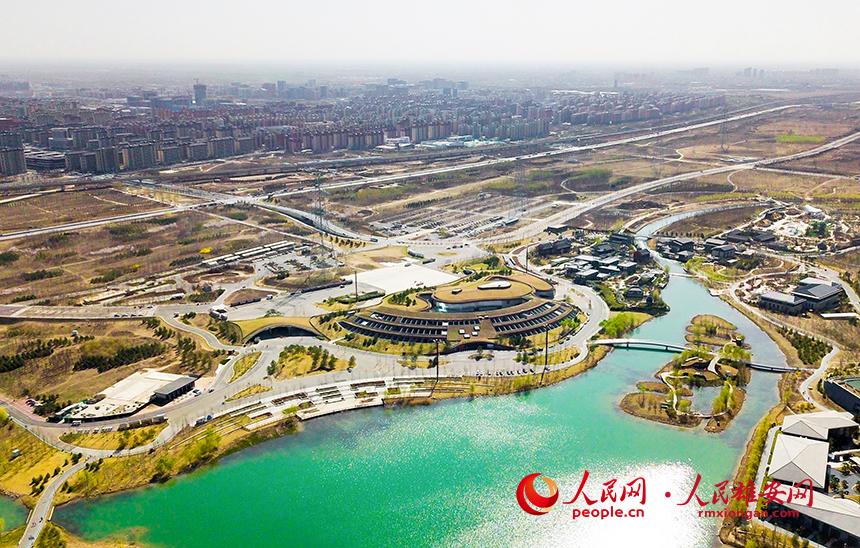 航拍雄安郊野公園。人民網(wǎng)宋燁文攝