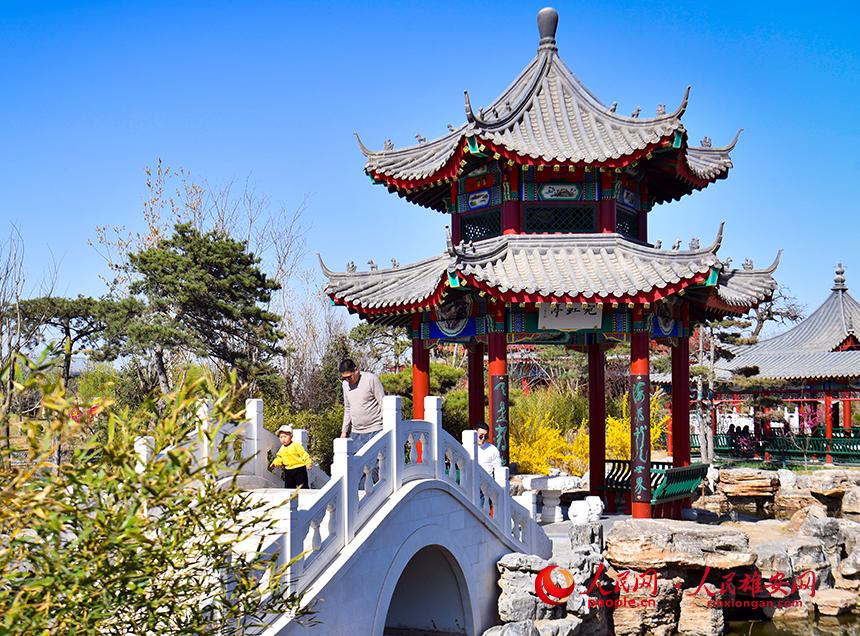 春天的雄安郊野公園，春和景明。人民網(wǎng)宋燁文攝