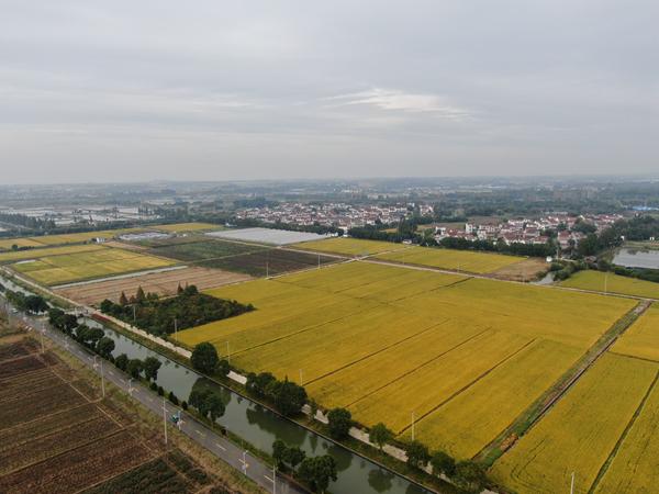 雙游村。受訪者供圖