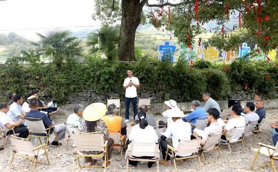 古樟風鈴系民生